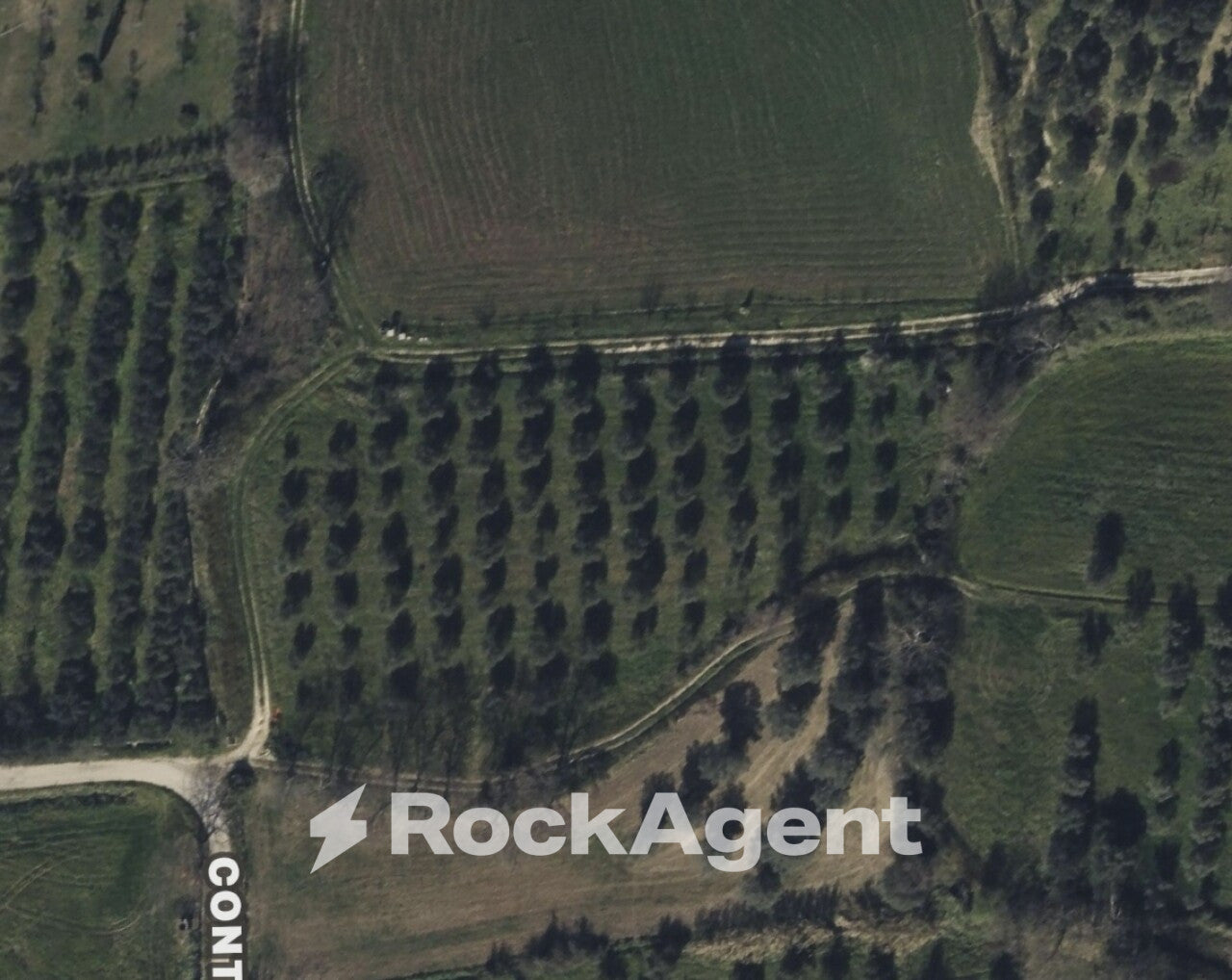 Terreno Agricolo in Vendita – Contrada Santa Lucia, Altavilla Silentina